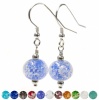 Pets Ashes Into Charm Bead glass jewellery Earrings